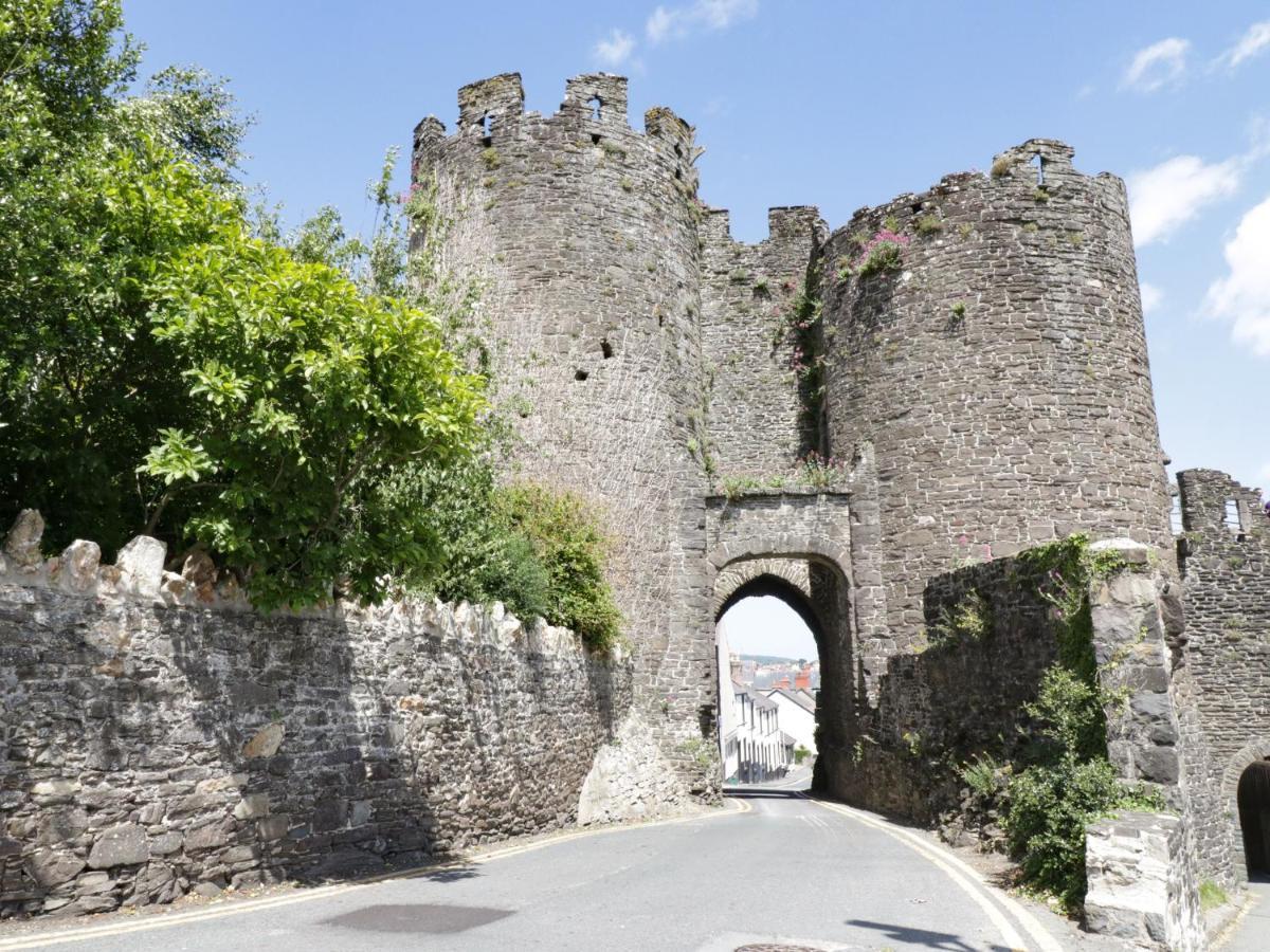 Llys Madoc, Basement Apartment Penmaenmawr ภายนอก รูปภาพ